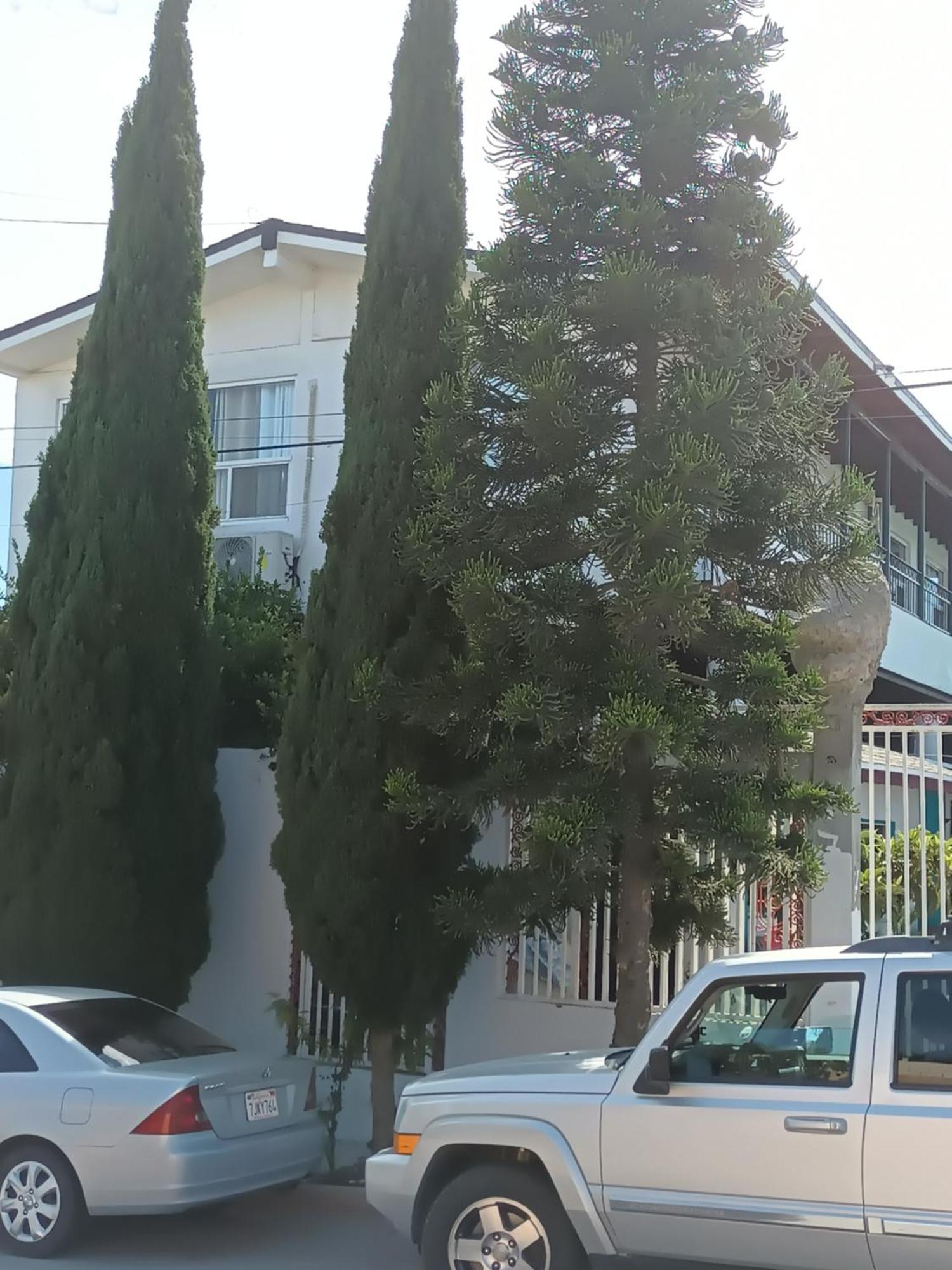 Apartamentos Rosarito.!! Con Vista Al Mar ! Εξωτερικό φωτογραφία